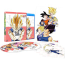 Dragon Ball Z: Season 8 Dragon Ball Z: Season 8